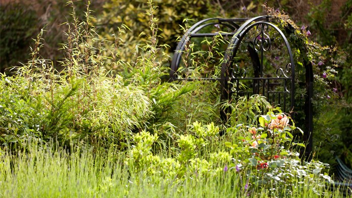 undefinedGarden gate and beautiful gardens of Benslow